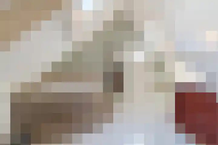 Korn 36 Dussen thumbnail 26