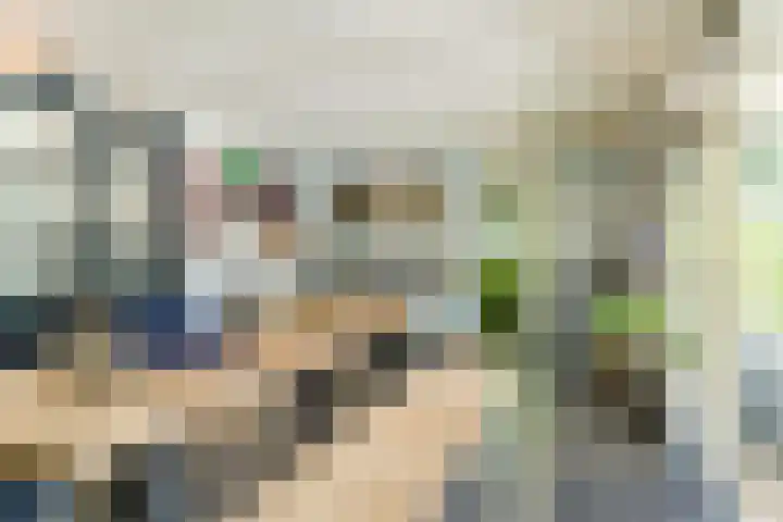 Korn 36 Dussen thumbnail 29