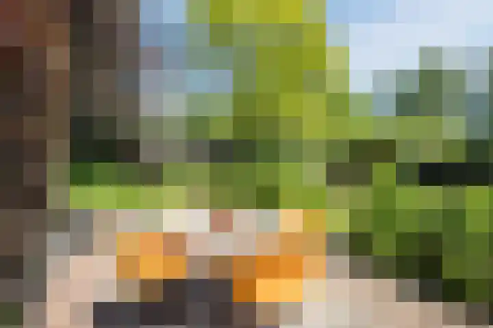 Korn 36 Dussen thumbnail 33