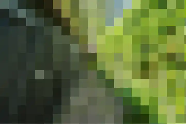 Korn 36 Dussen thumbnail 41