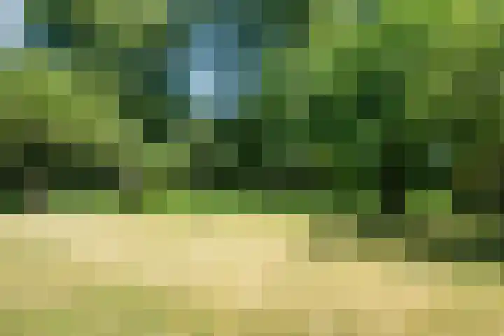 Korn 36 Dussen thumbnail 43