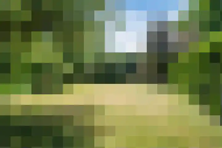 Korn 36 Dussen thumbnail 44