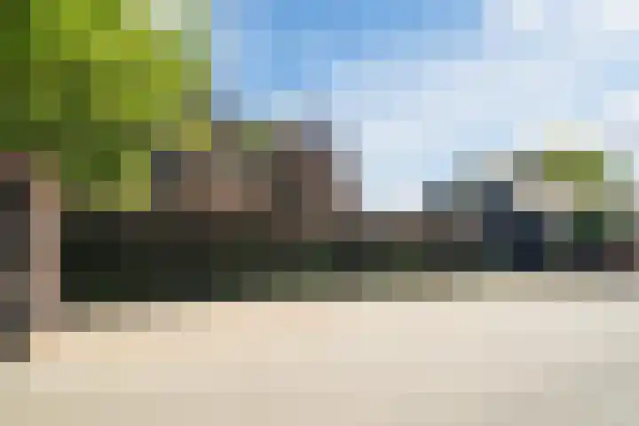 Korn 36 Dussen thumbnail 45