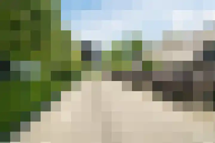 Korn 36 Dussen thumbnail 46