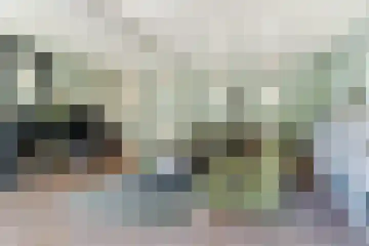 Korn 36 Dussen thumbnail 6