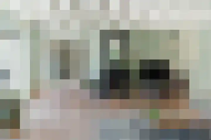 Korn 36 Dussen thumbnail 7