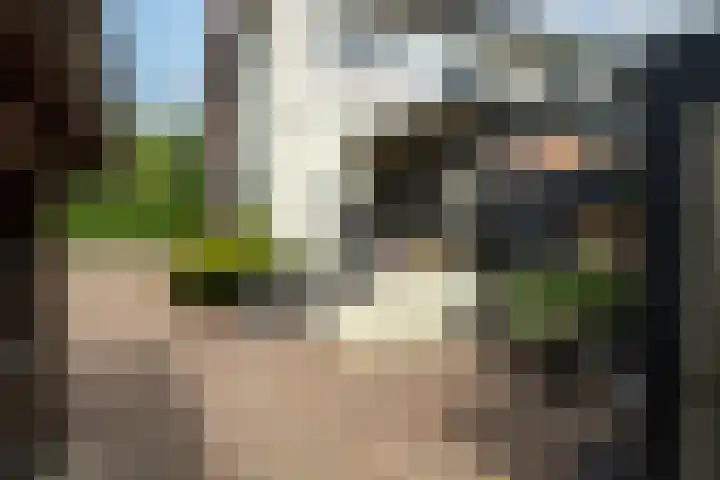 Korn 52 Dussen thumbnail 35