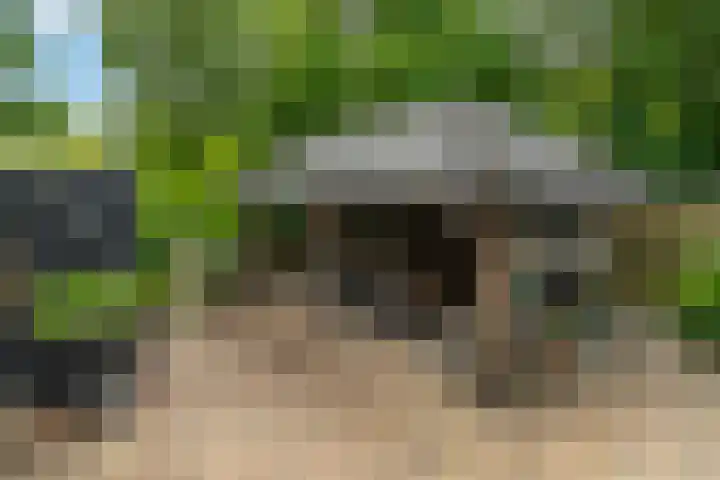 Korn 52 Dussen thumbnail 37