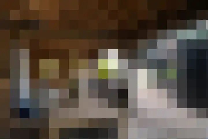 Korn 52 Dussen thumbnail 39