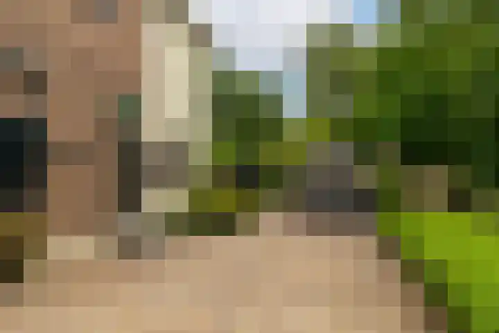 Korn 52 Dussen thumbnail 4