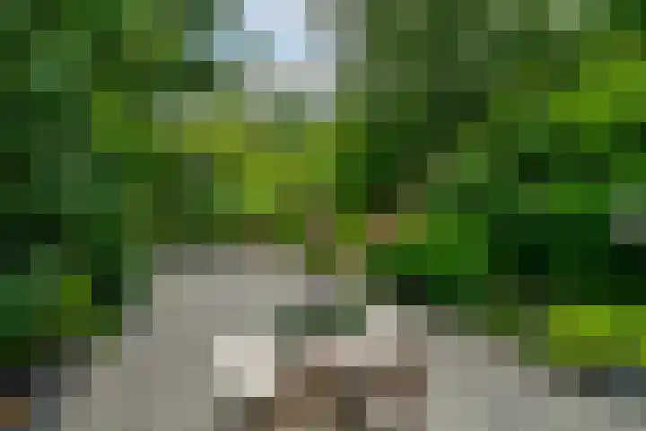 Korn 52 Dussen thumbnail 40
