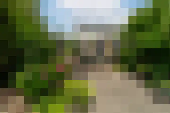 Korn 52 Dussen thumbnail 41