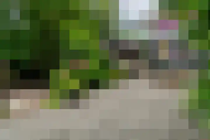 Korn 52 Dussen thumbnail 42