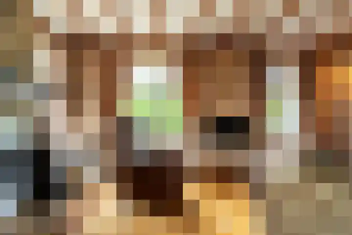 Korn 52 Dussen thumbnail 8