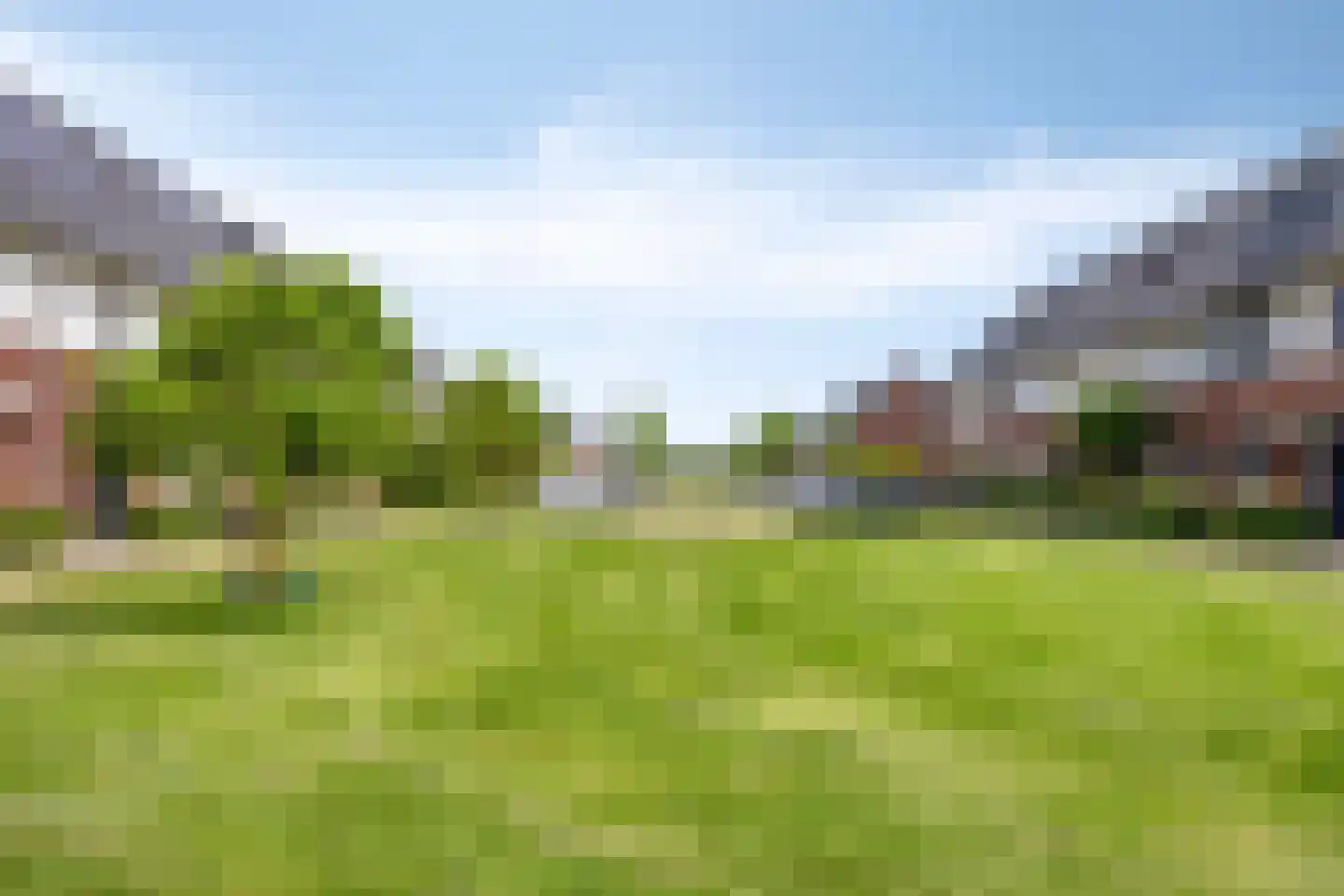 Kornalijn 11 Zevenbergen thumbnail 53