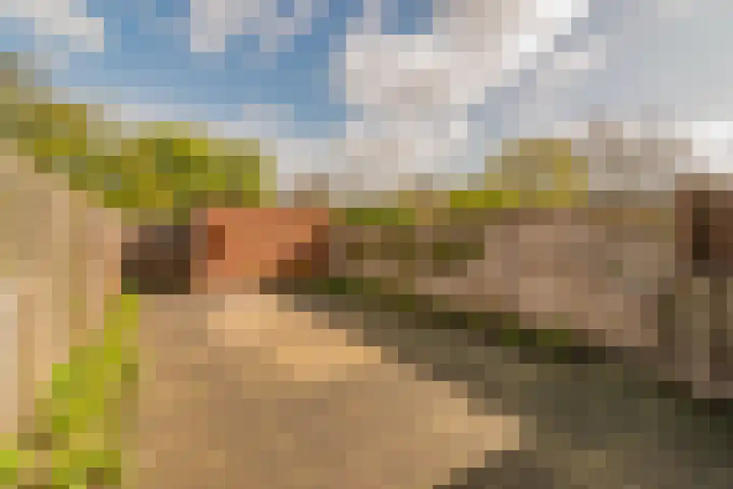 Kornalijn 19 's-Gravenzande thumbnail 6
