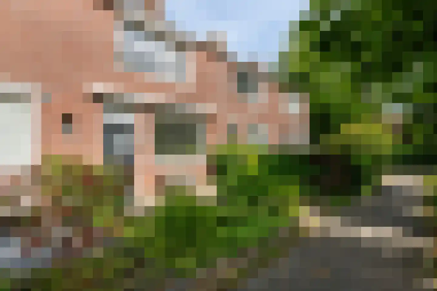 Kornalijn 29 in 's-Gravenzande
