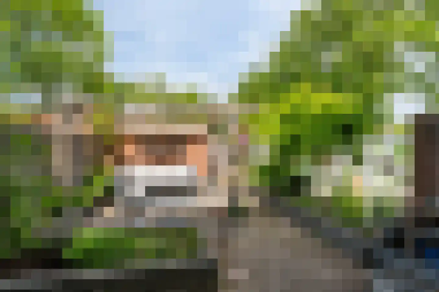 Kornalijn 29 's-Gravenzande thumbnail 15