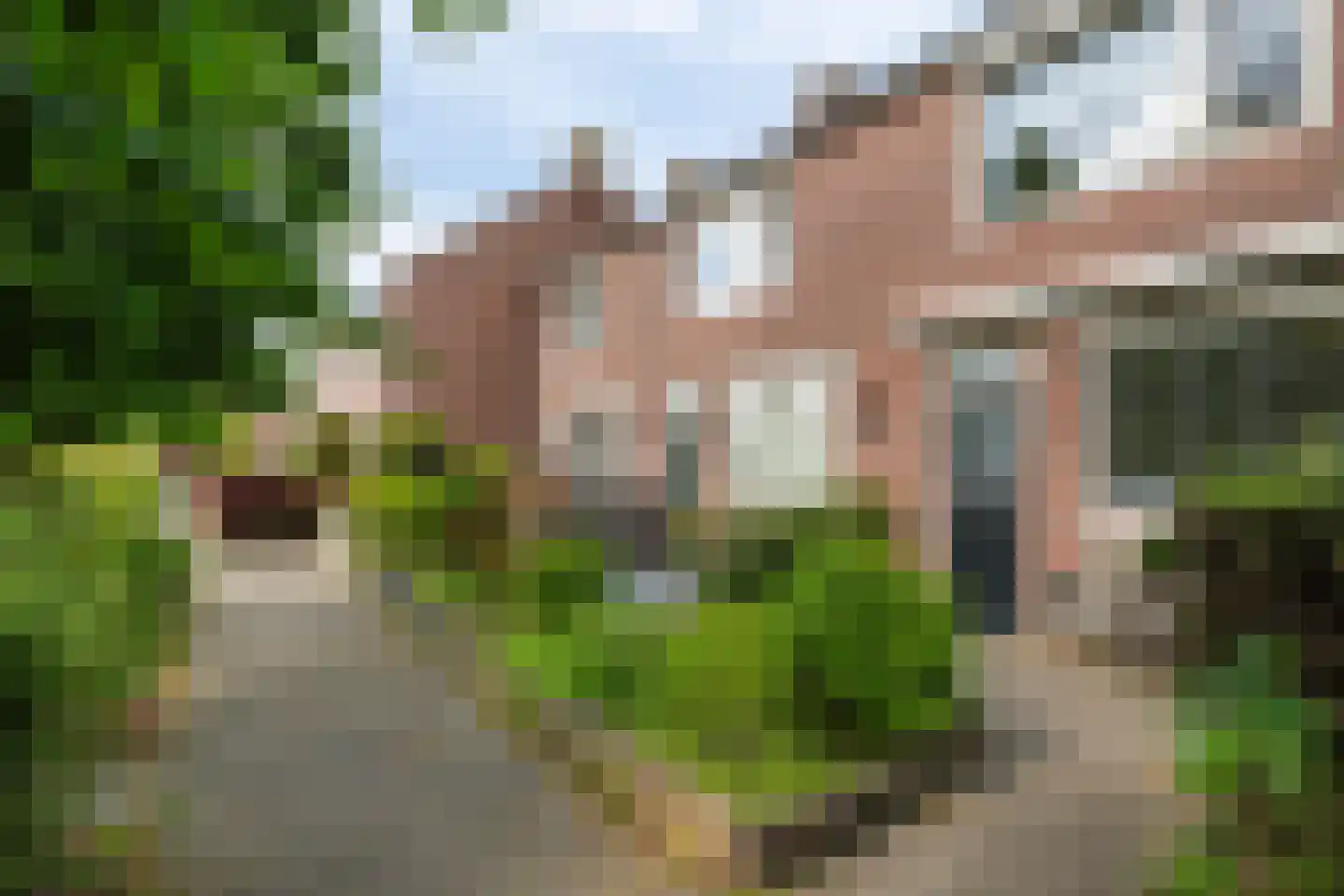 Kornalijn 29 's-Gravenzande thumbnail 30