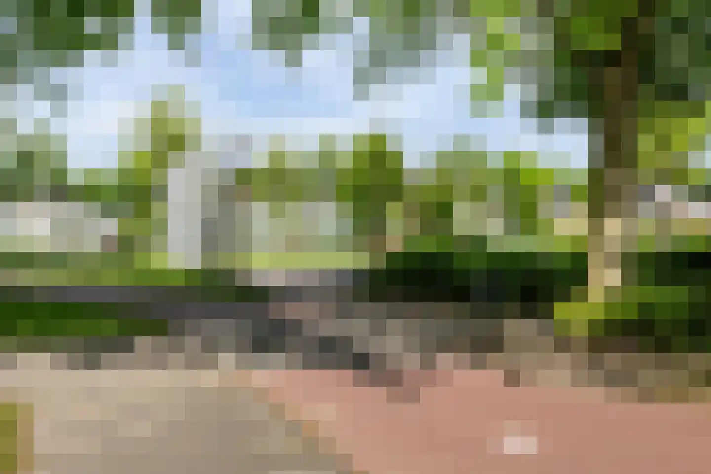 Kornalijn 29 's-Gravenzande thumbnail 32