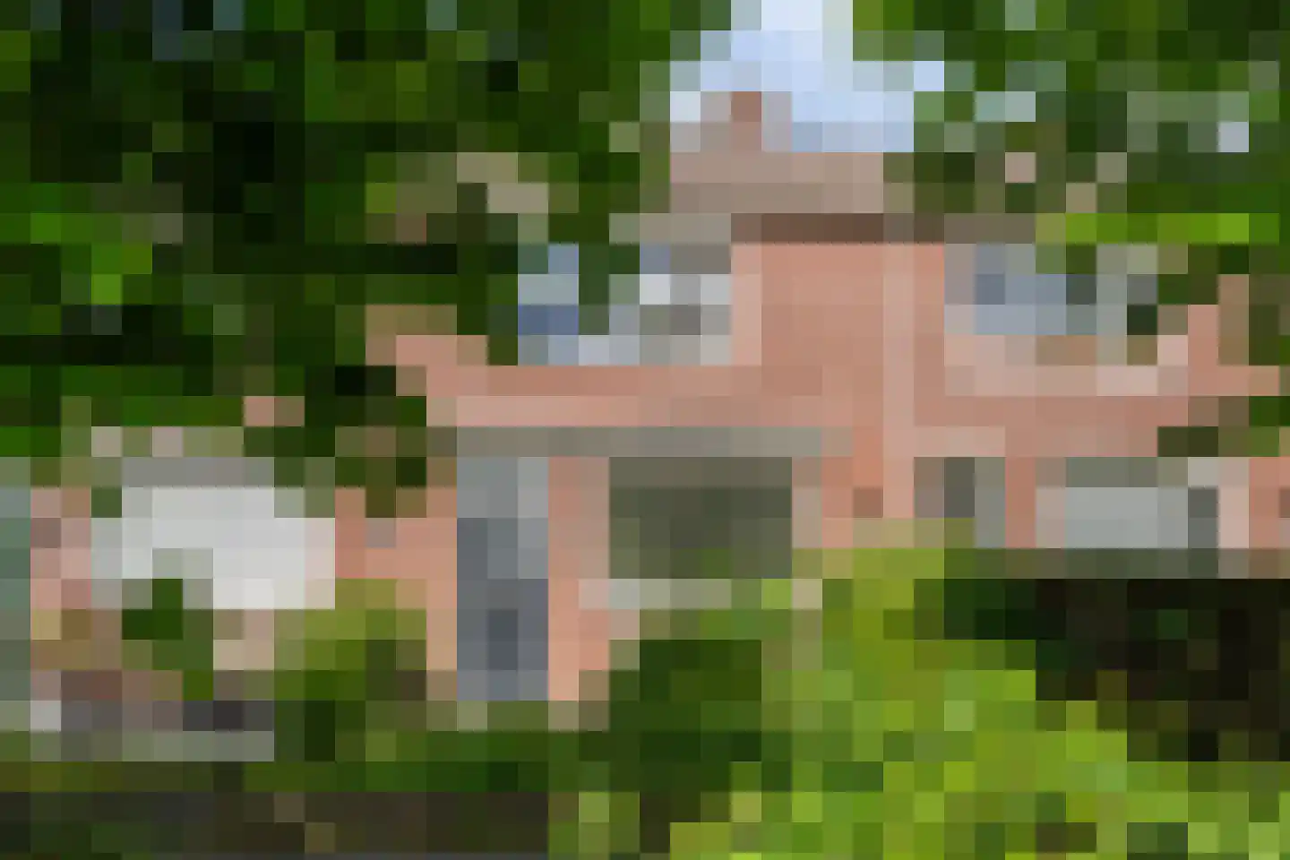 Kornalijn 29 's-Gravenzande thumbnail 7