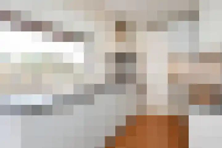 Kornalijnhorst 163 Den Haag thumbnail 14