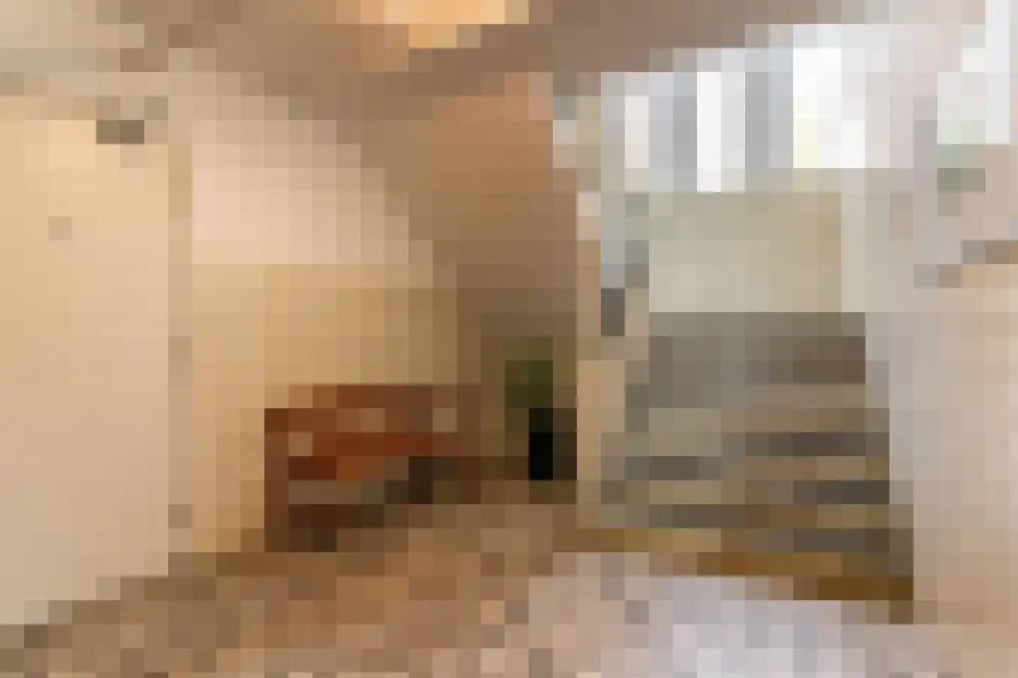 Kornalijnhorst 230 Den Haag thumbnail 38
