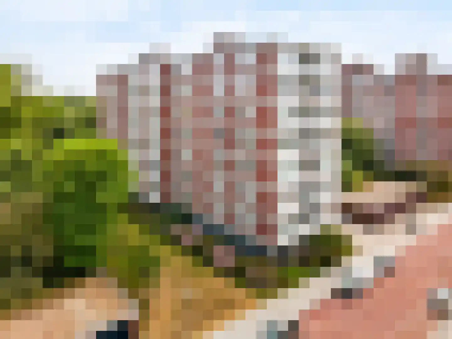 Kornalijnhorst 230 Den Haag thumbnail 4
