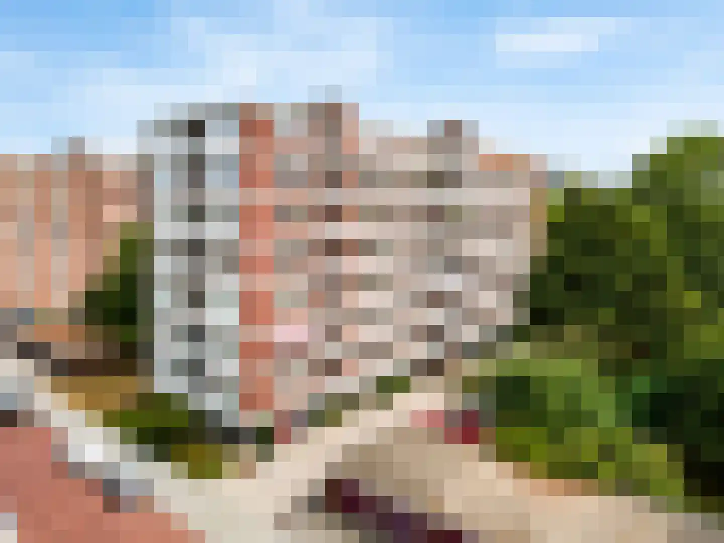 Kornalijnhorst 230 Den Haag thumbnail 40
