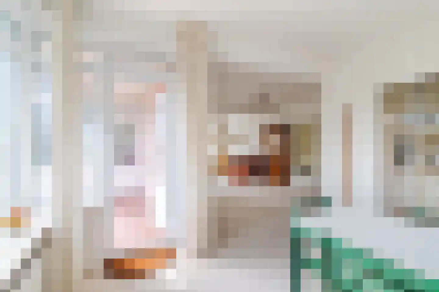 Kornalijnhorst 234 Den Haag thumbnail 15