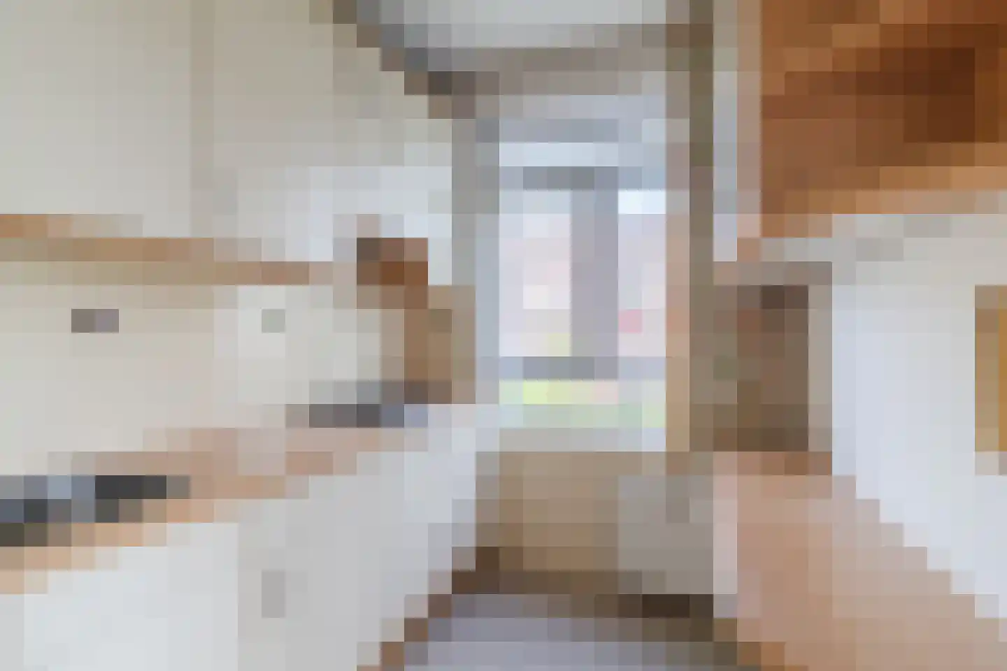 Kornalijnhorst 234 Den Haag thumbnail 18
