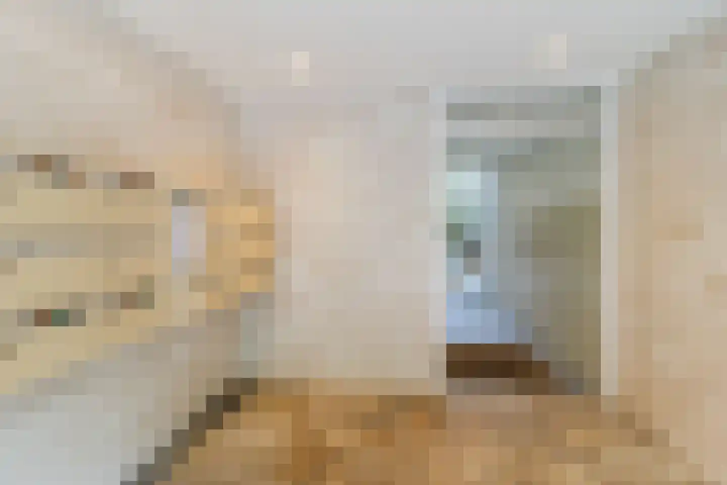 Kornalijnhorst 234 Den Haag thumbnail 35