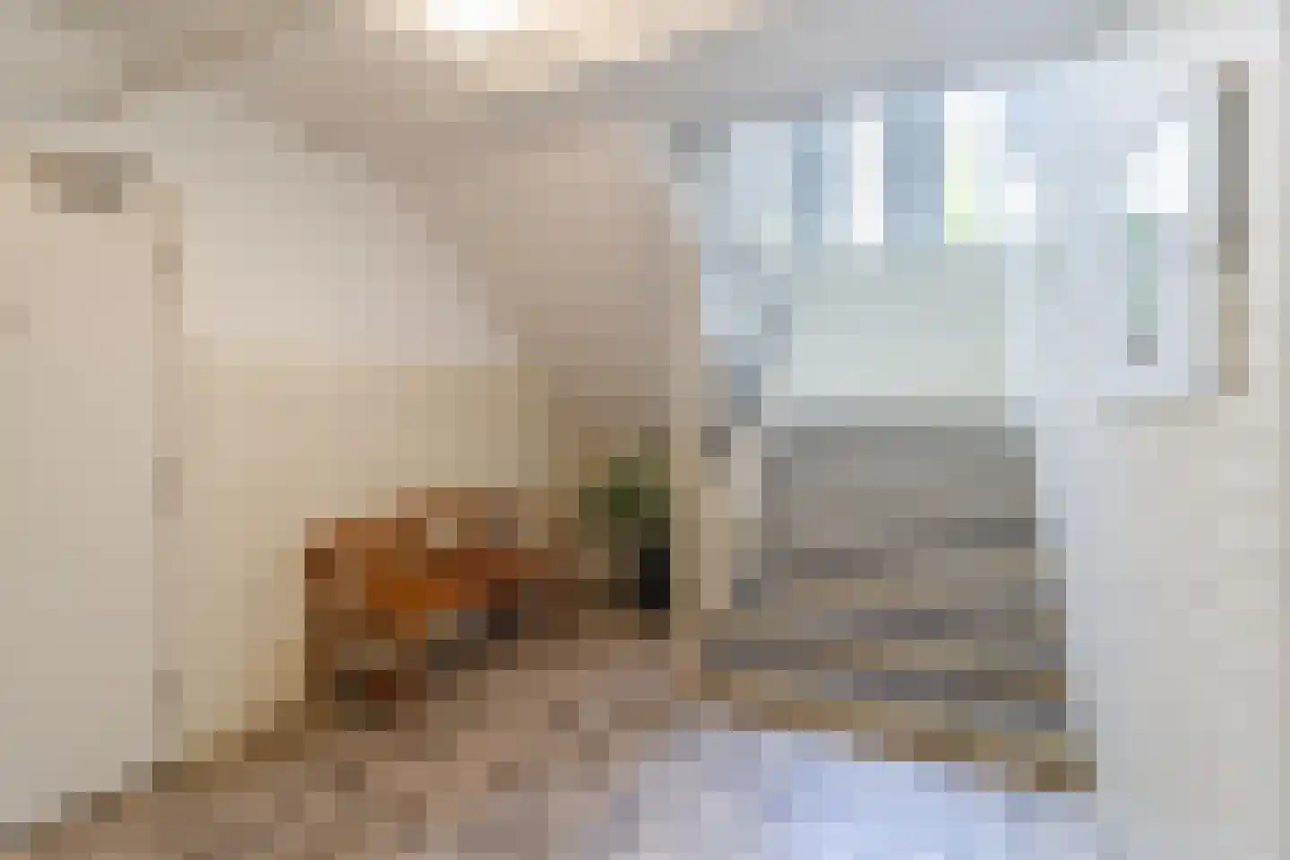 Kornalijnhorst 234 Den Haag thumbnail 37