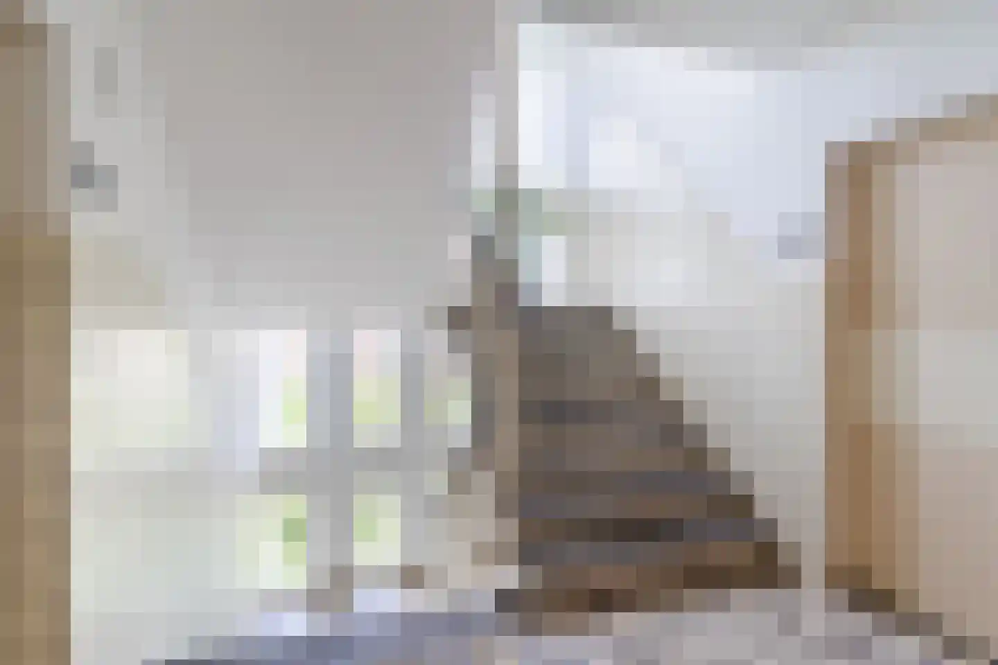 Kornalijnhorst 234 Den Haag thumbnail 38