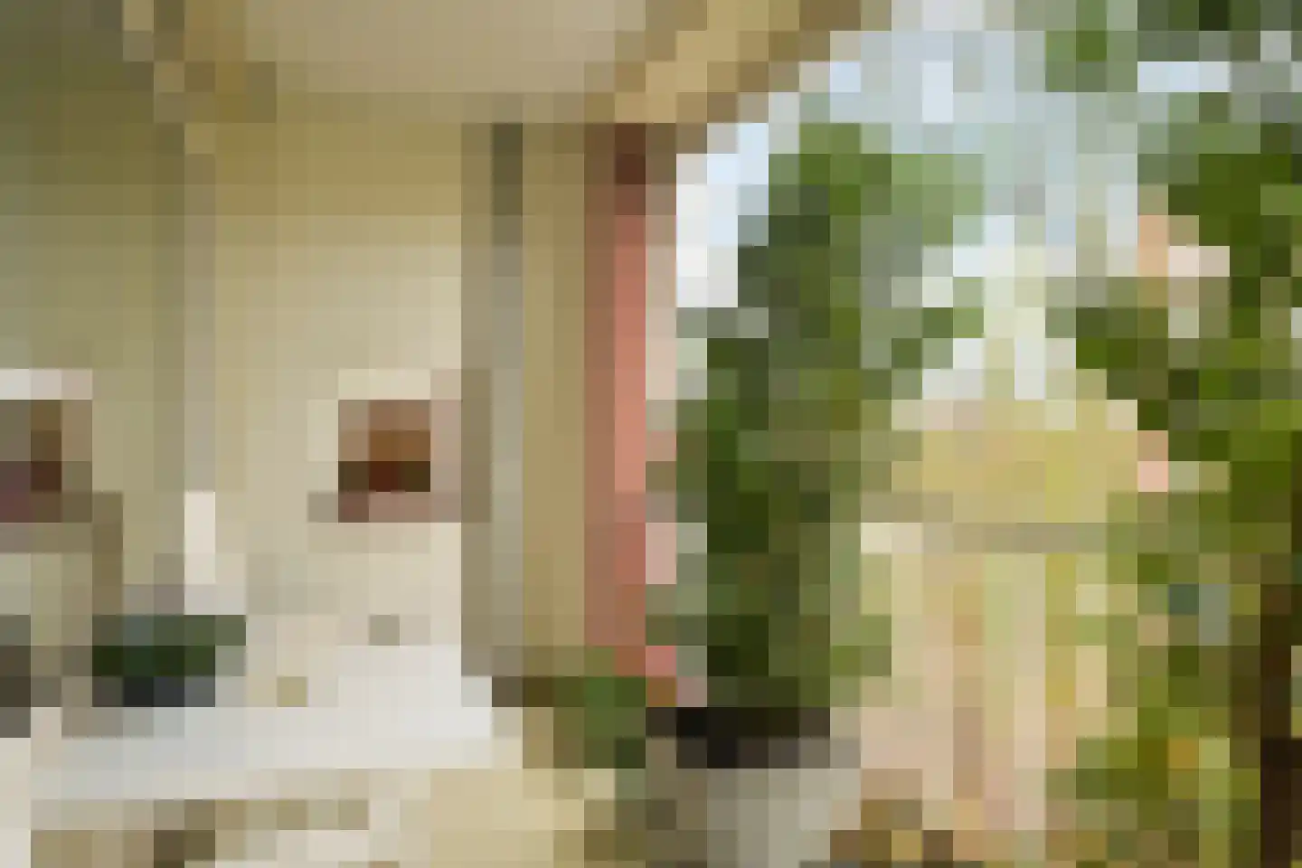 Kornalijnhorst 24 Den Haag thumbnail 13