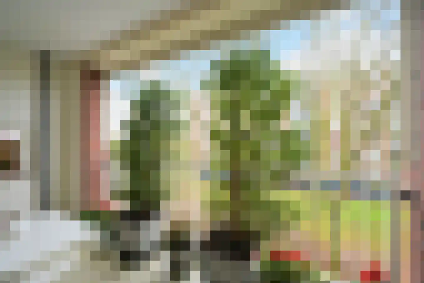 Kornalijnhorst 24 Den Haag thumbnail 14