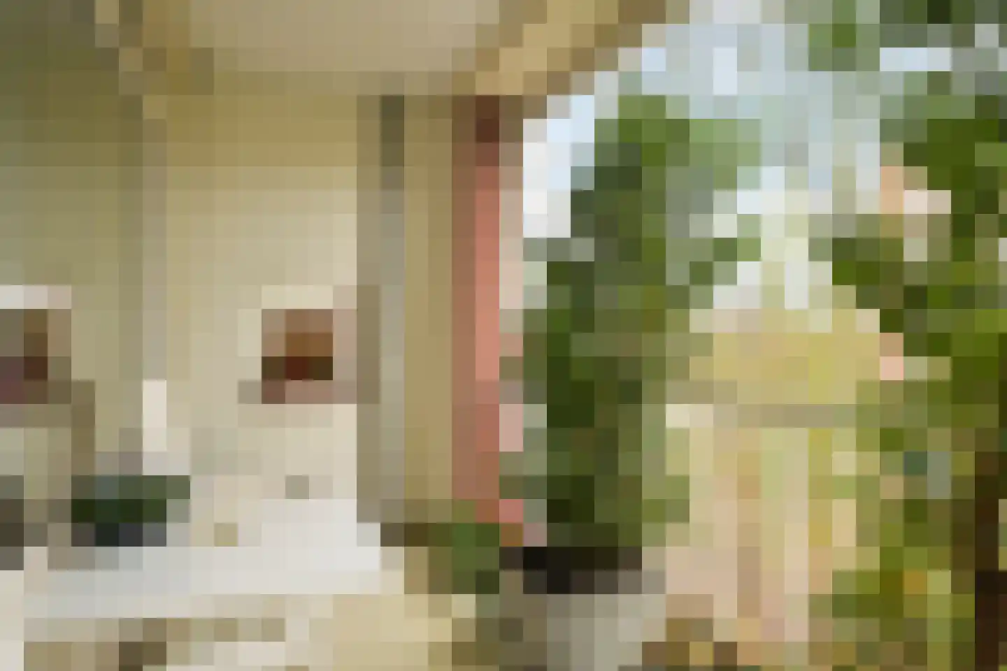 Kornalijnhorst 24 Den Haag thumbnail 15
