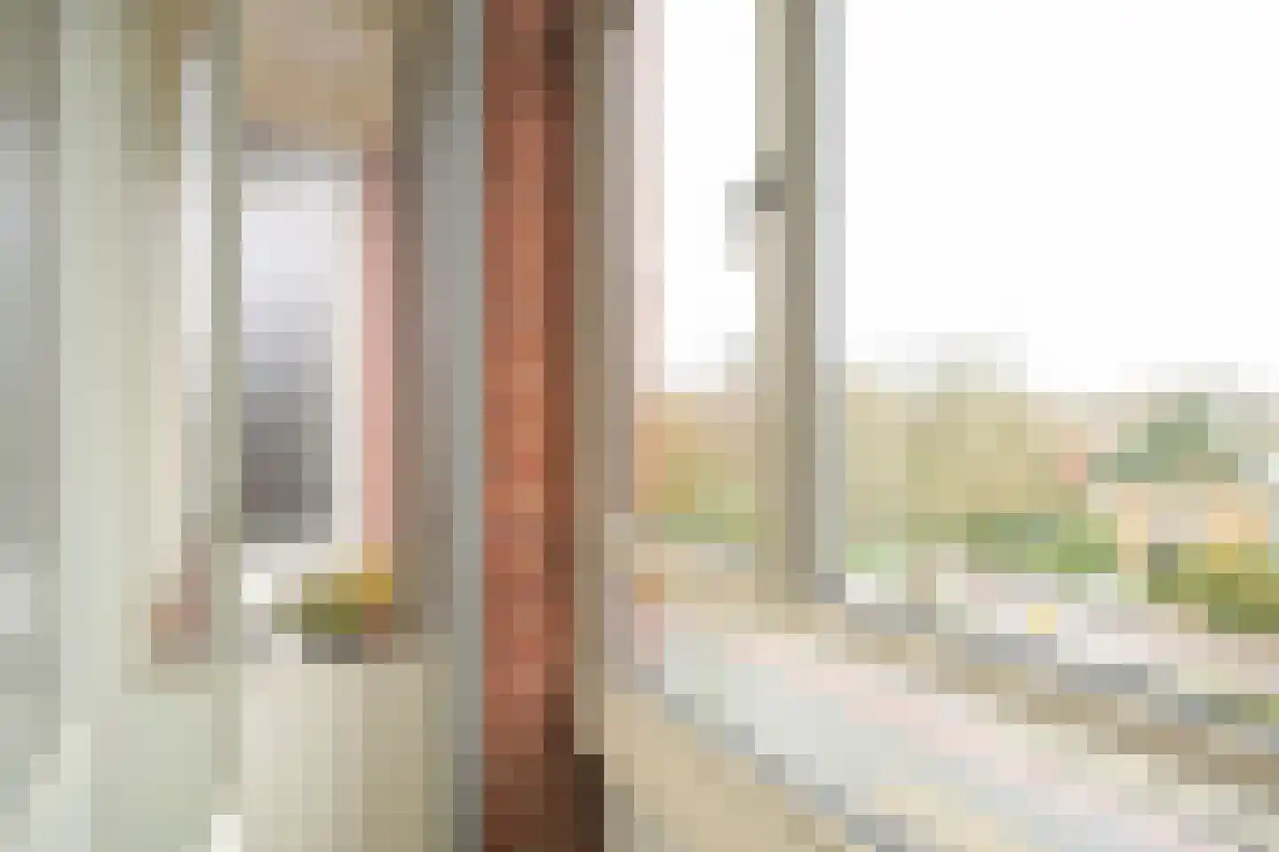 Kornalijnhorst 24 Den Haag thumbnail 23