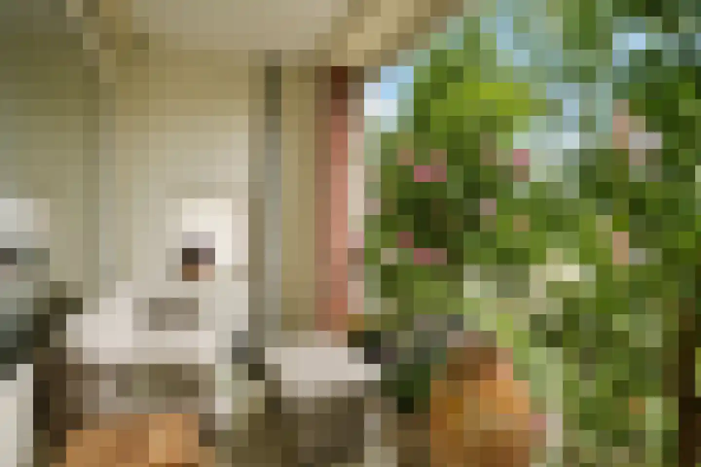 Kornalijnhorst 24 Den Haag thumbnail 28