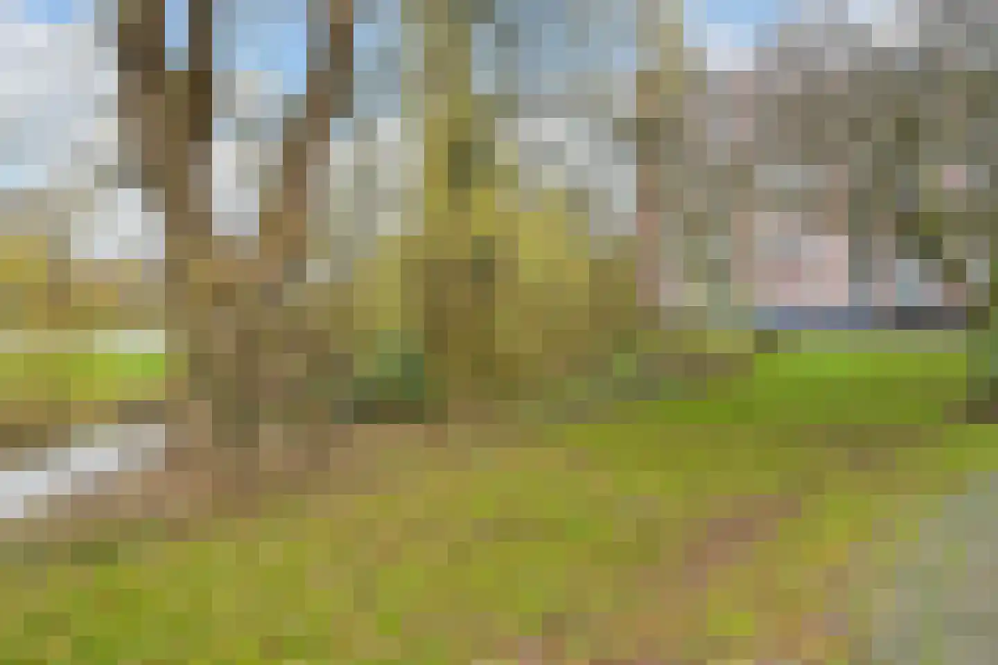 Kornalijnhorst 24 Den Haag thumbnail 33