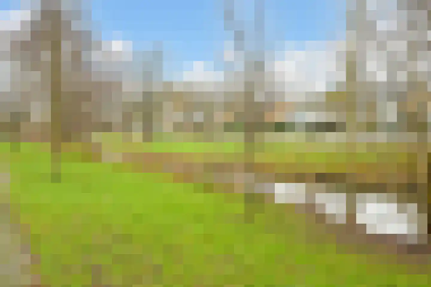 Kornalijnhorst 24 Den Haag thumbnail 34