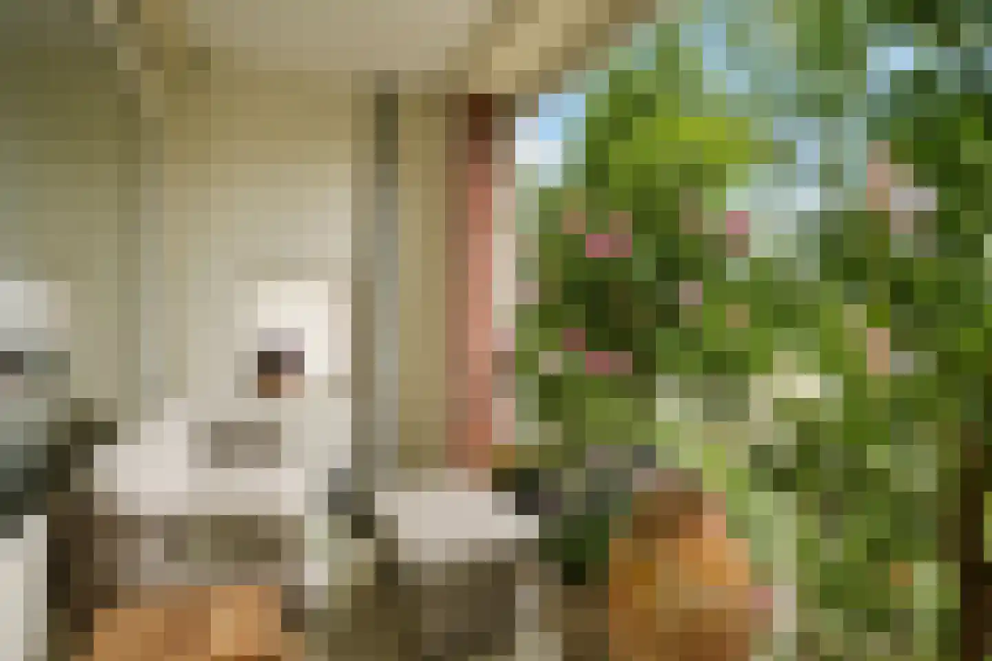Kornalijnhorst 24 Den Haag thumbnail 40