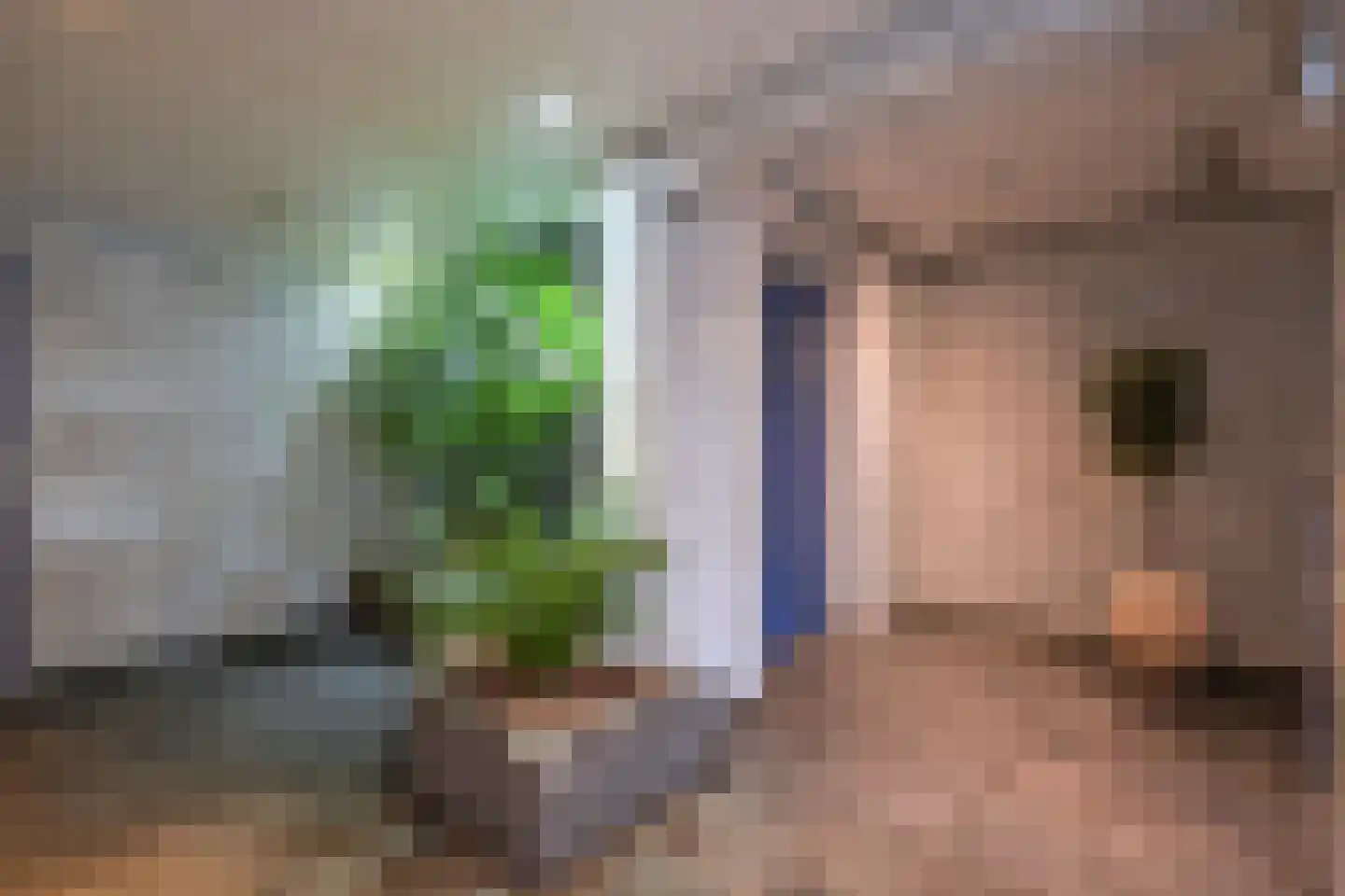 Kornalijnhorst 24 Den Haag thumbnail 6
