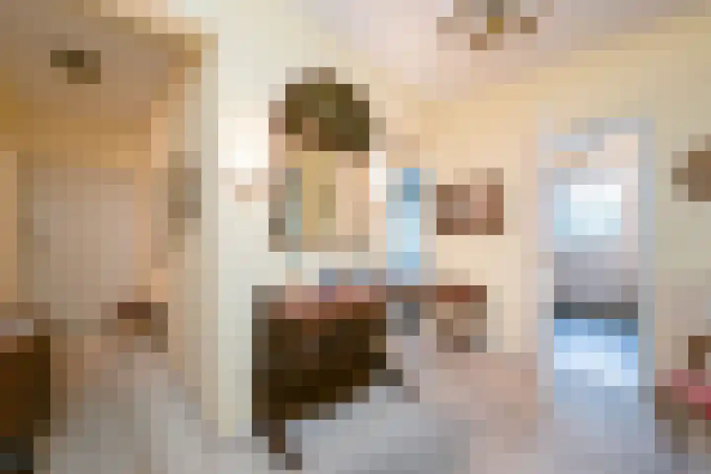 Kornalijnhorst 24 Den Haag thumbnail 9