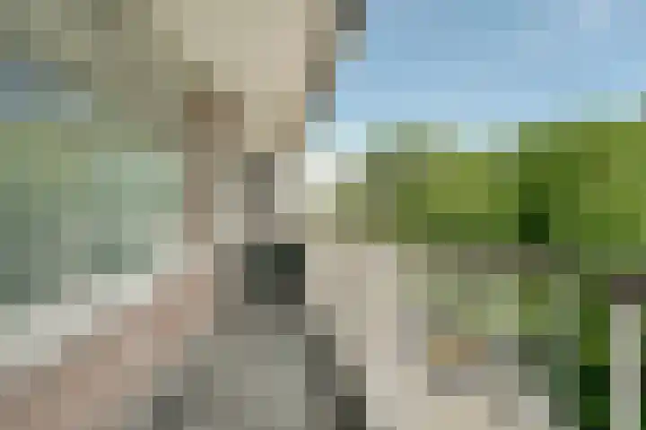 Kornalijnhorst 284 Den Haag thumbnail 19