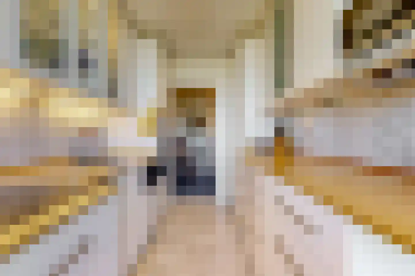Kornalijnhorst 32 Den Haag thumbnail 11