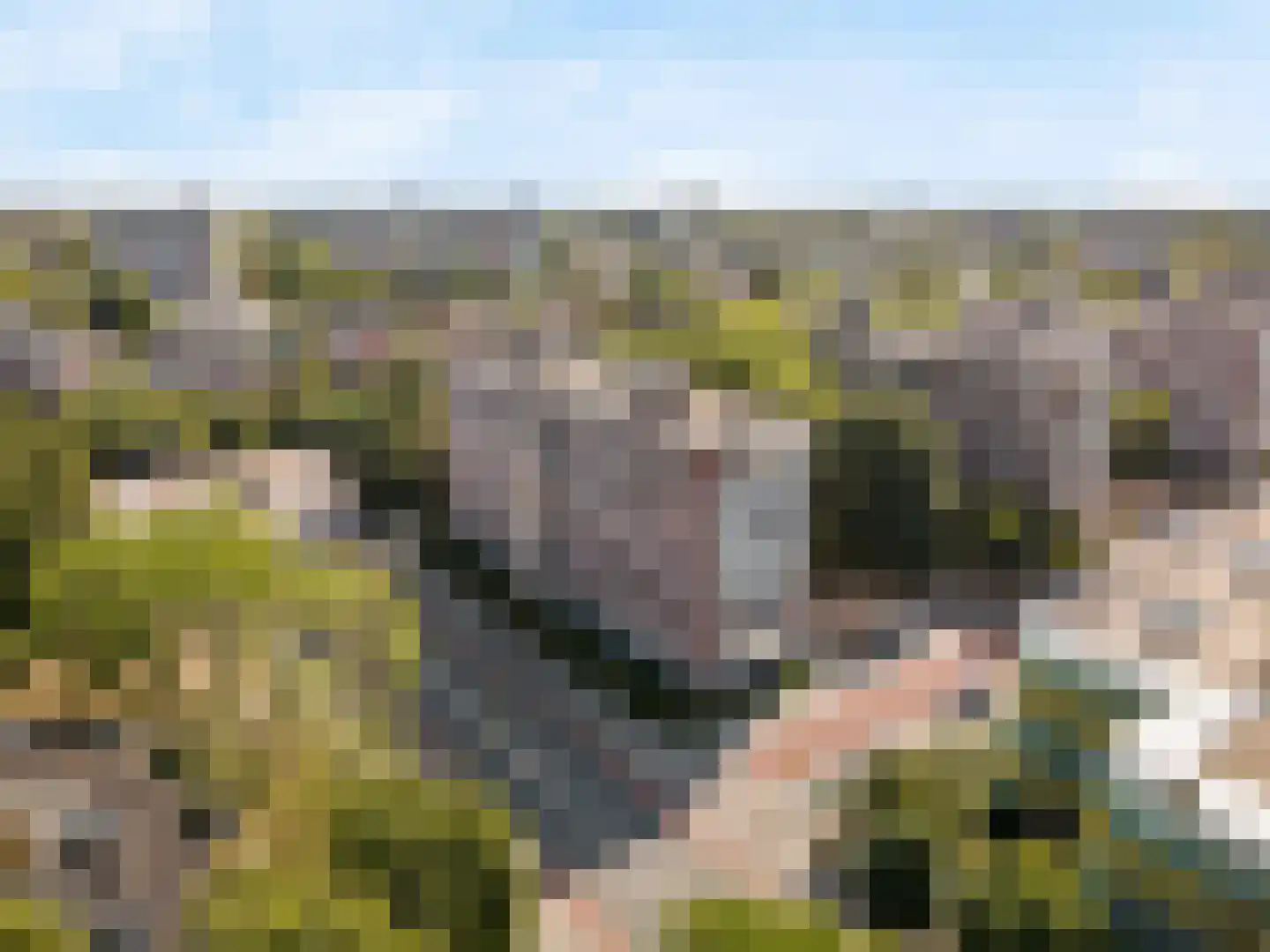 Kornalijnhorst 32 Den Haag thumbnail 57