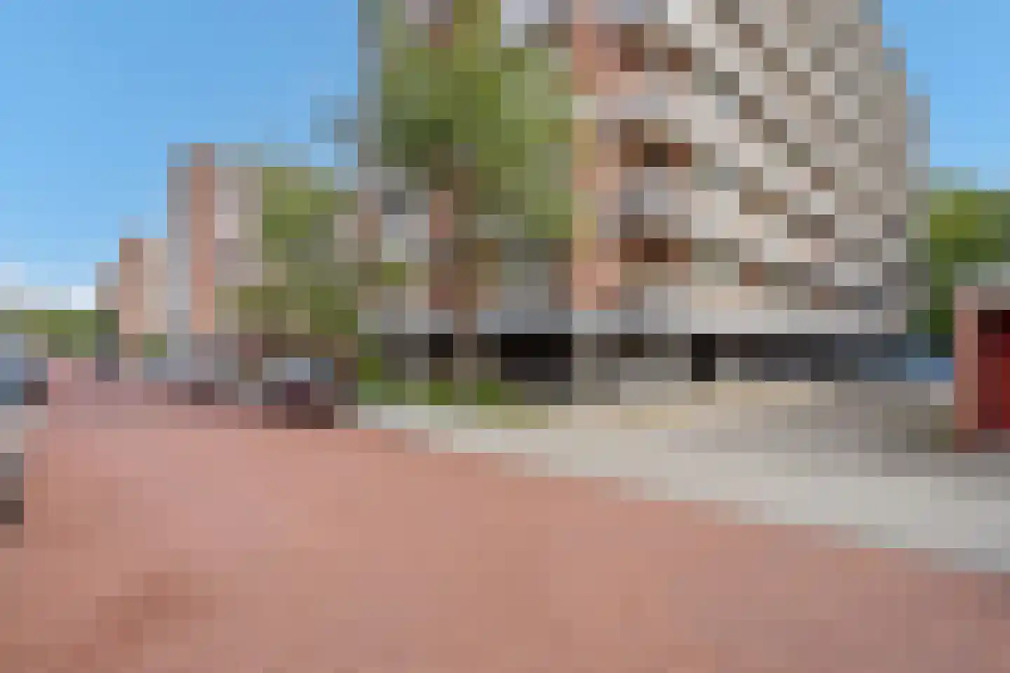 Kornalijnhorst 320 Den Haag thumbnail 20