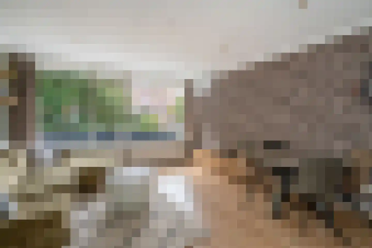 Kornalijnhorst 320 Den Haag thumbnail 7