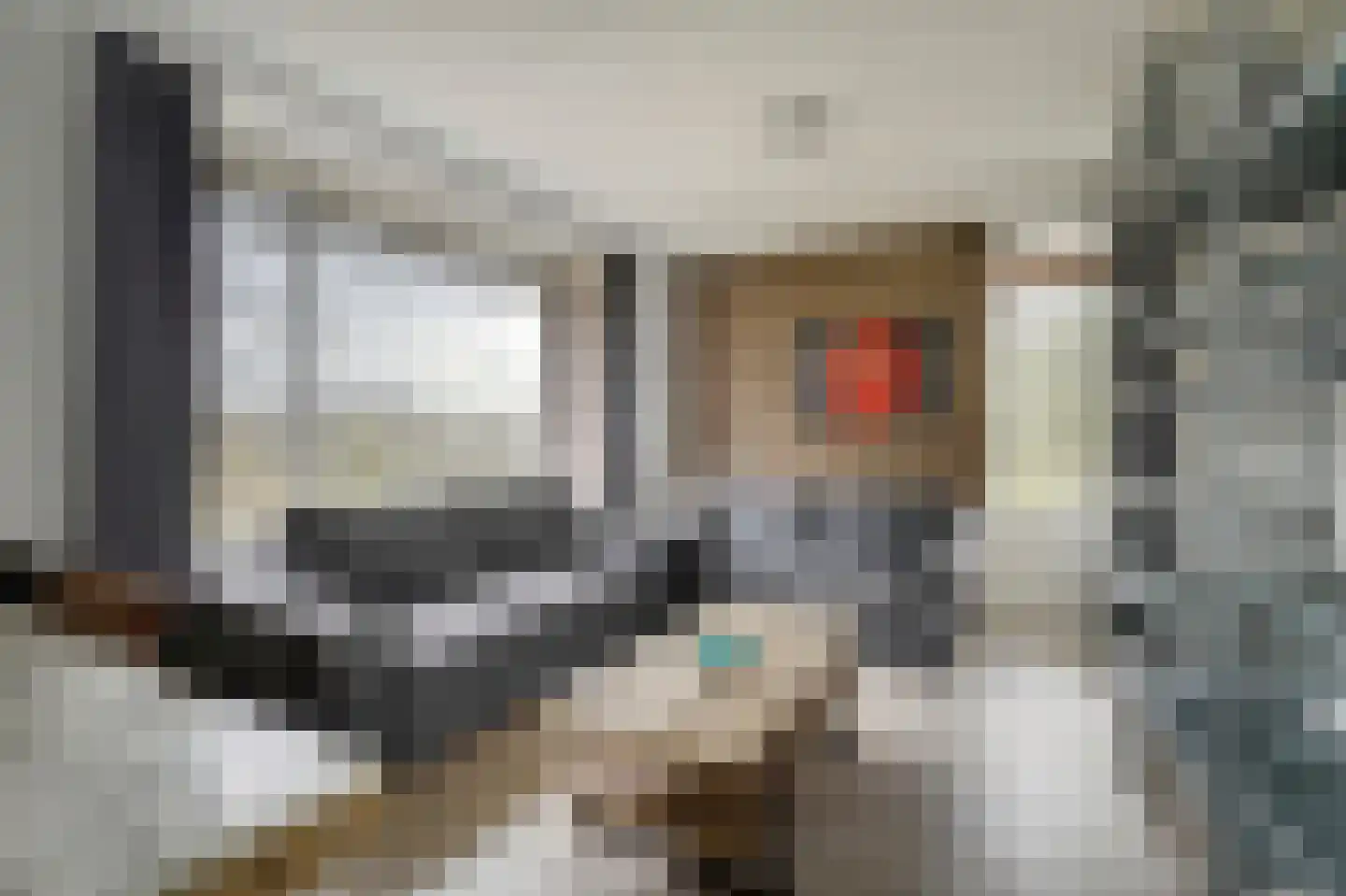 Kornalijnhorst 390 Den Haag thumbnail 13